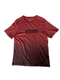 Camiseta American Eagle Degrade